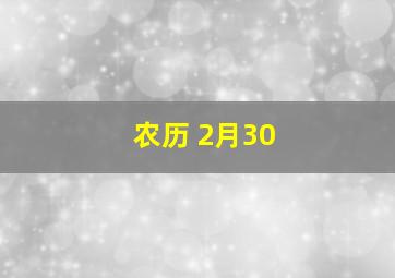 农历 2月30